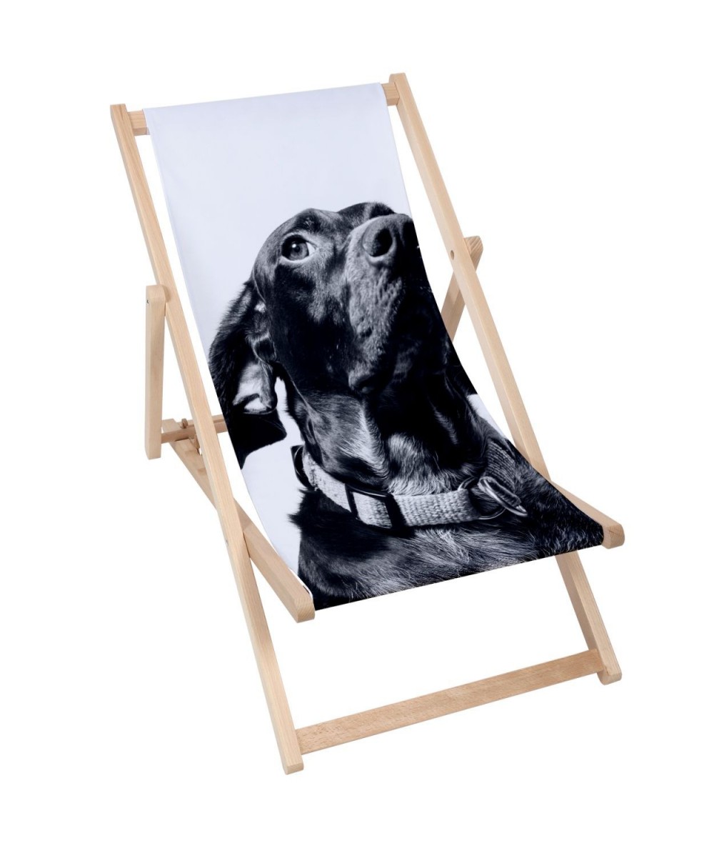 Leżak drewniany Dog z psem ogrodowy modny na plażę