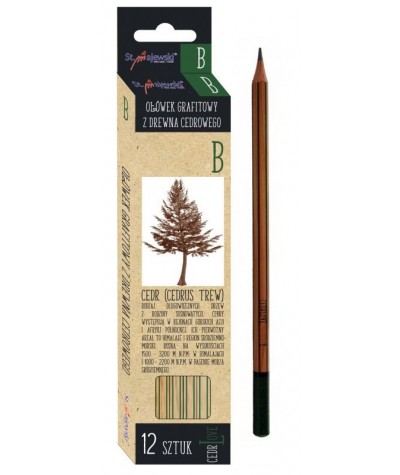 Ołówek B z drewna cedrowego miękki 12 szt. CedrLove