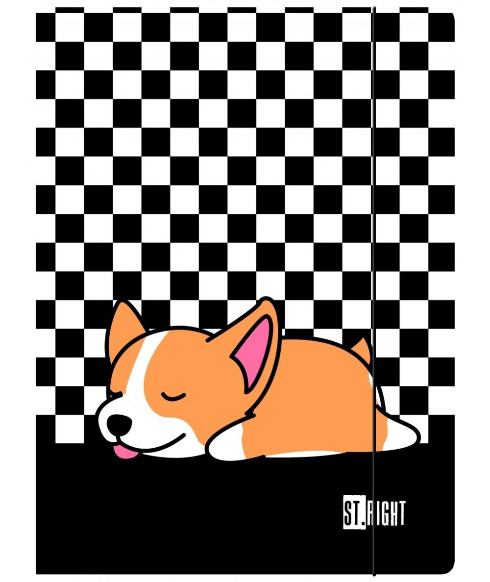 Teczka z gumką A4 szachownica piesek ST.RIGHT SLEEPY CORGI do szkoły