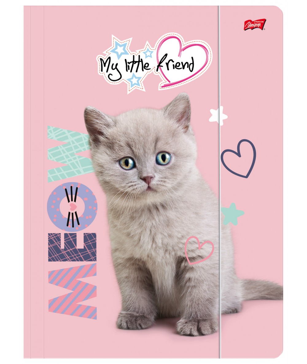 R&oacute;żowa teczka z gumką KITTY kotek St.Majewski