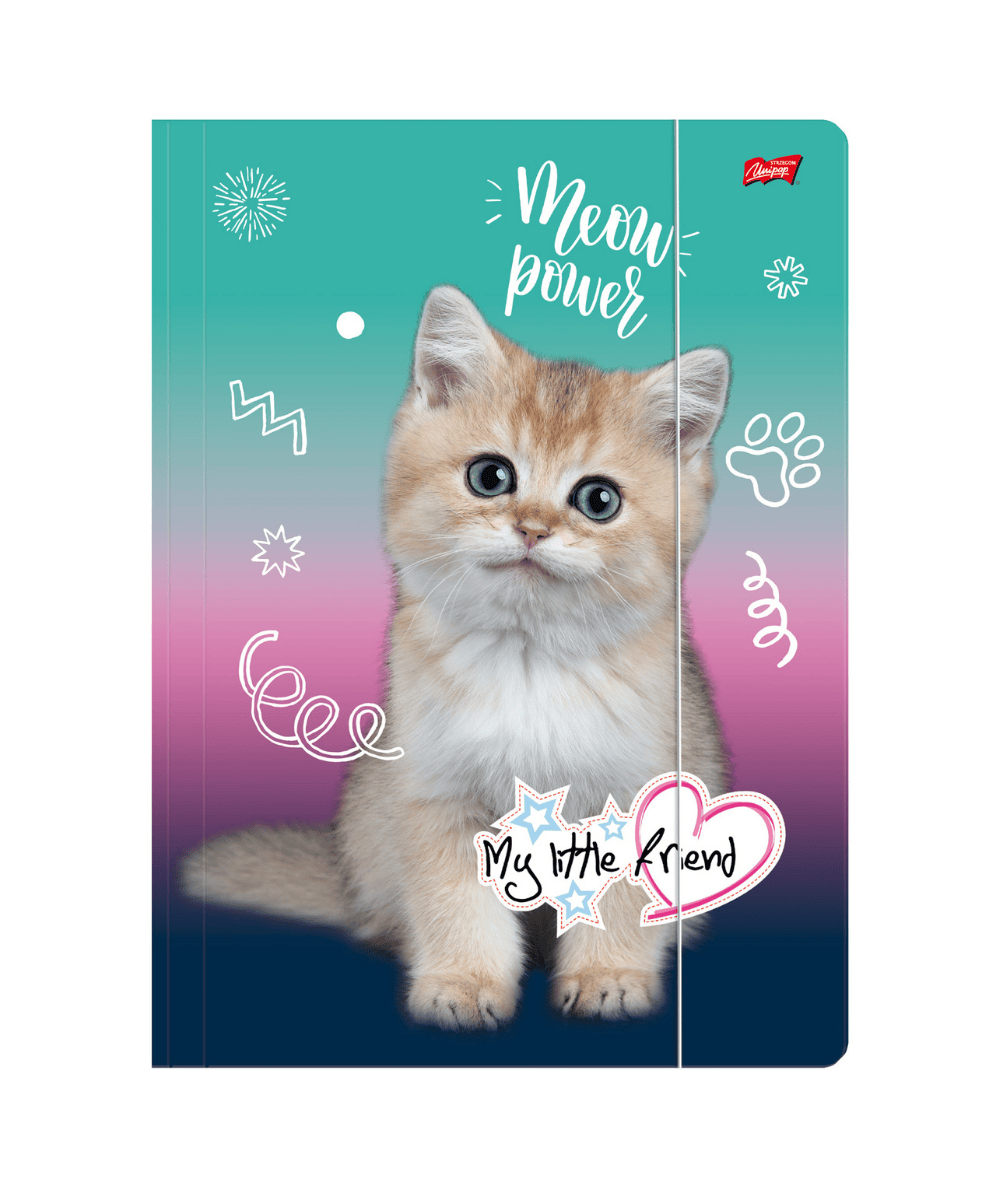 Teczka z kotkiem A4 z gumką KITTY MY LITTLE FRIEND UNIPAP