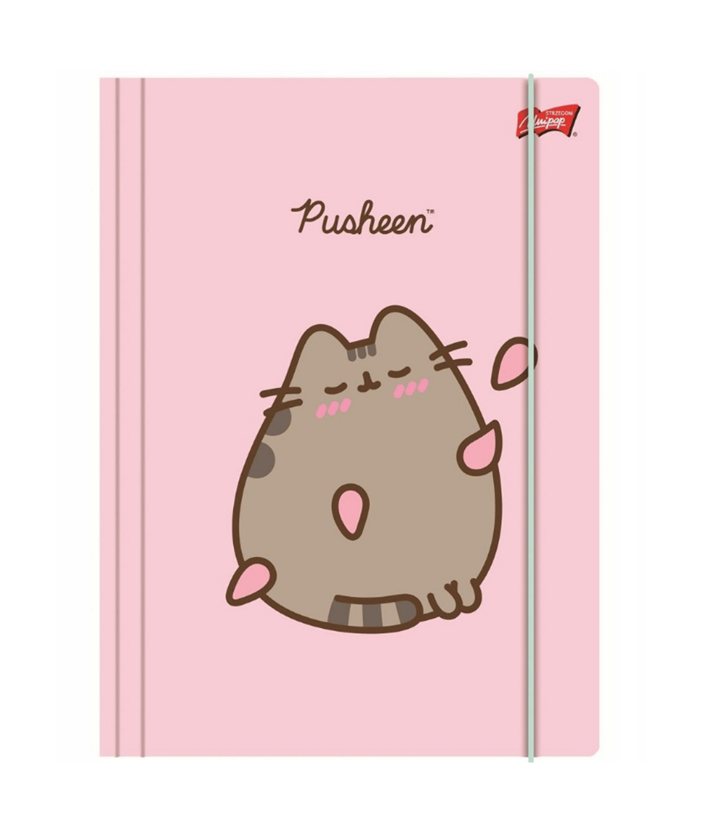 pudrowa teczka z pusheenem ST.MAJEWSKI na prace A4 z gumką