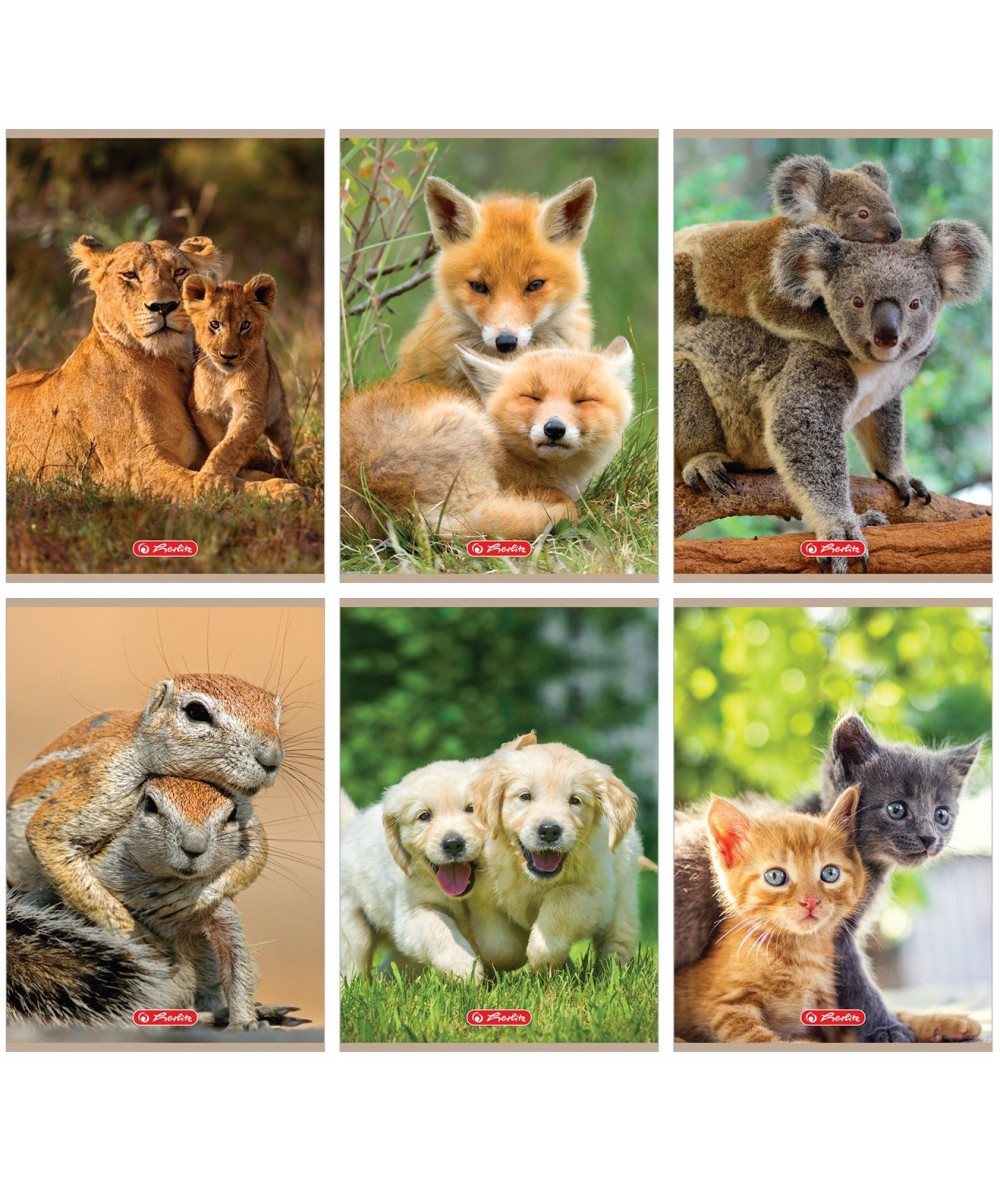 Zeszyt A5 16k. w kratkę HERLITZ ANIMALS 10 SZTUK ze zwierzętami 70g MIX do pierwszej klasy dla pierwszaka