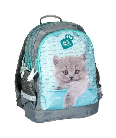 Plecak szkolny Studio Pets - szary z kotkiem