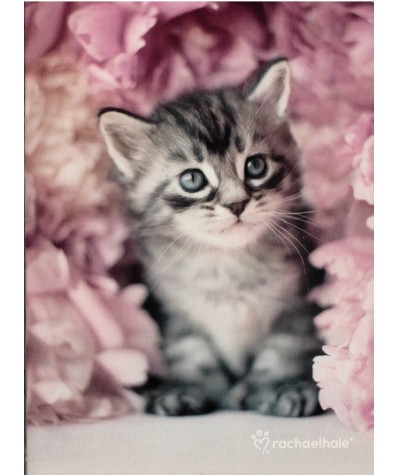 Zeszyt A5 16kart. cienie linie Rachaelhale kotek MEOW na tle różowych kwiatów