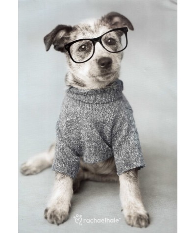 Blok rysunkowy RACHAELHALE pies w okularach