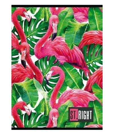 Zeszyt flamingi ST.RIGHT A5 60k. w kratkę